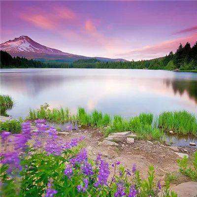 星空体育app下载